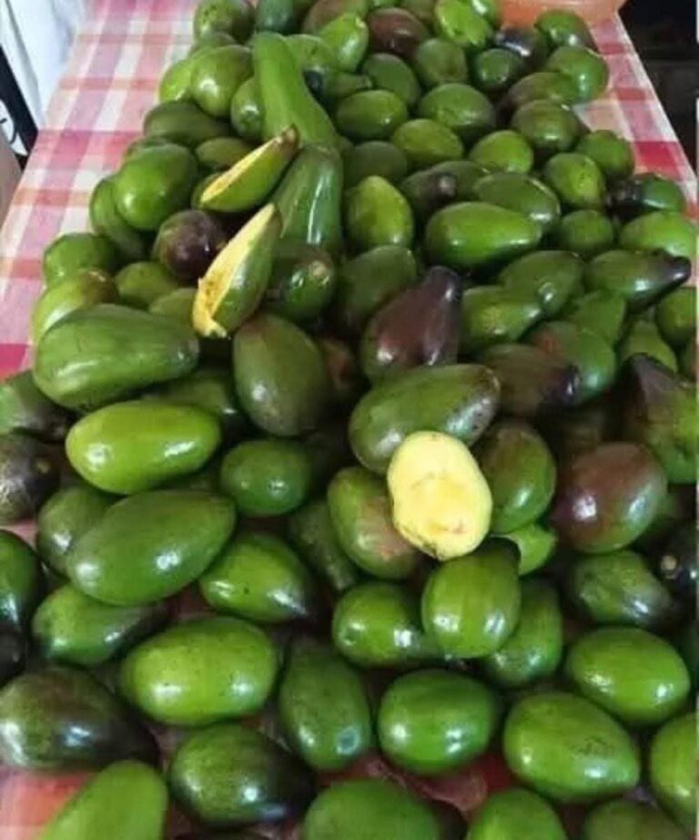 5 Potential Risks of Eating Avocados You Should Know