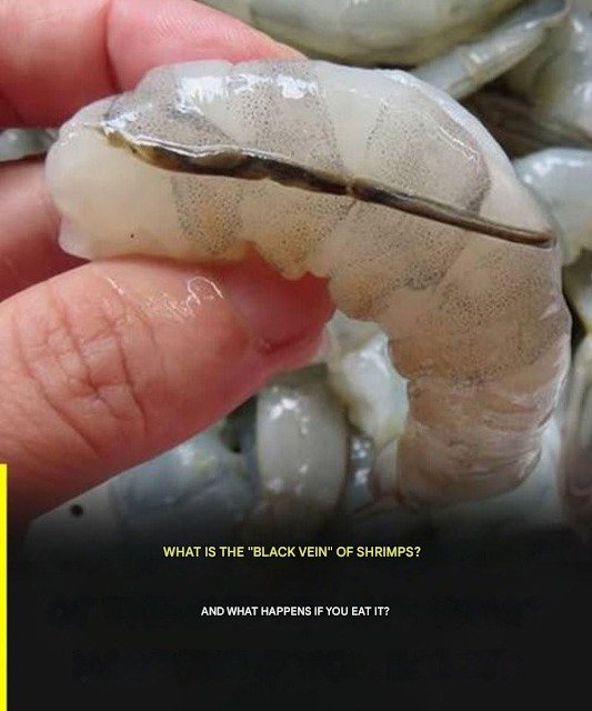 The “vein” of the shrimp: a little-known culinary detail that many people talk about