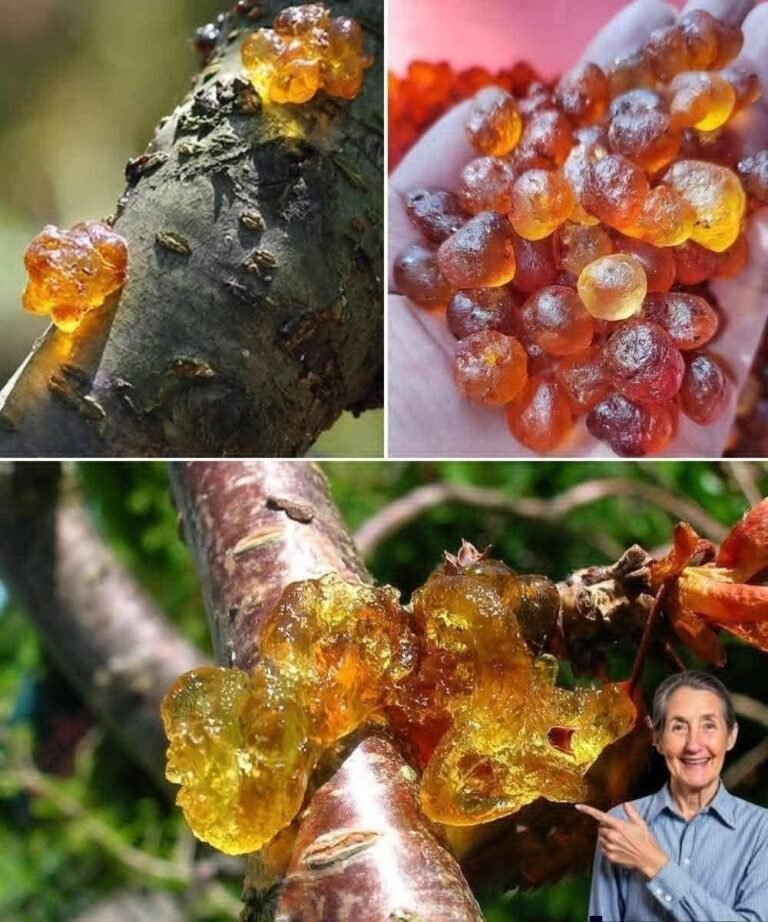 This resin is very expensive because it’s very powerful. 
