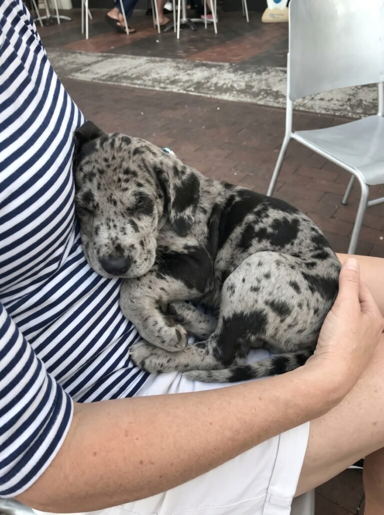 What’s an old-fashioned grandma name I could give my girl?