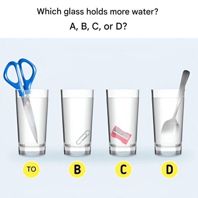 Which glass holds the most water?