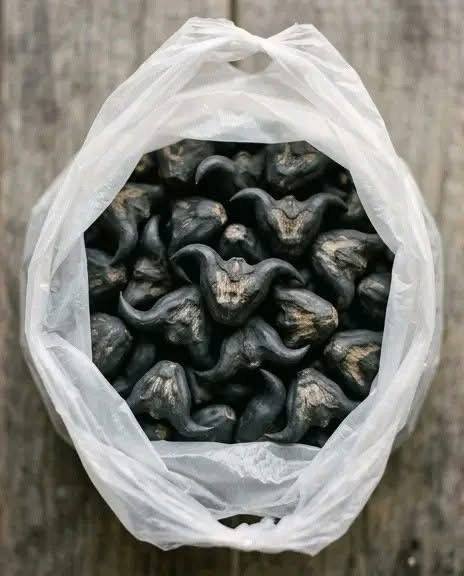 My neighbor gave me a bag of these.anyone know what they are How do you eat them