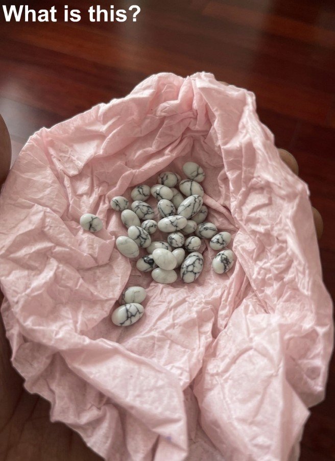 My younger brother is still in school. Yesterday, I wanted to put a candy in his bag to surprise him, but I accidentally found this inside. I’ve been looking at it for half an hour, but I still can’t figure out what it is.