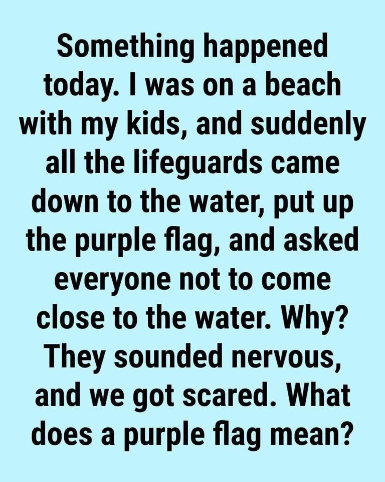 What Does the Purple Beach Flag Mean? The Hidden Ocean Warning Most Swimmers Ignore