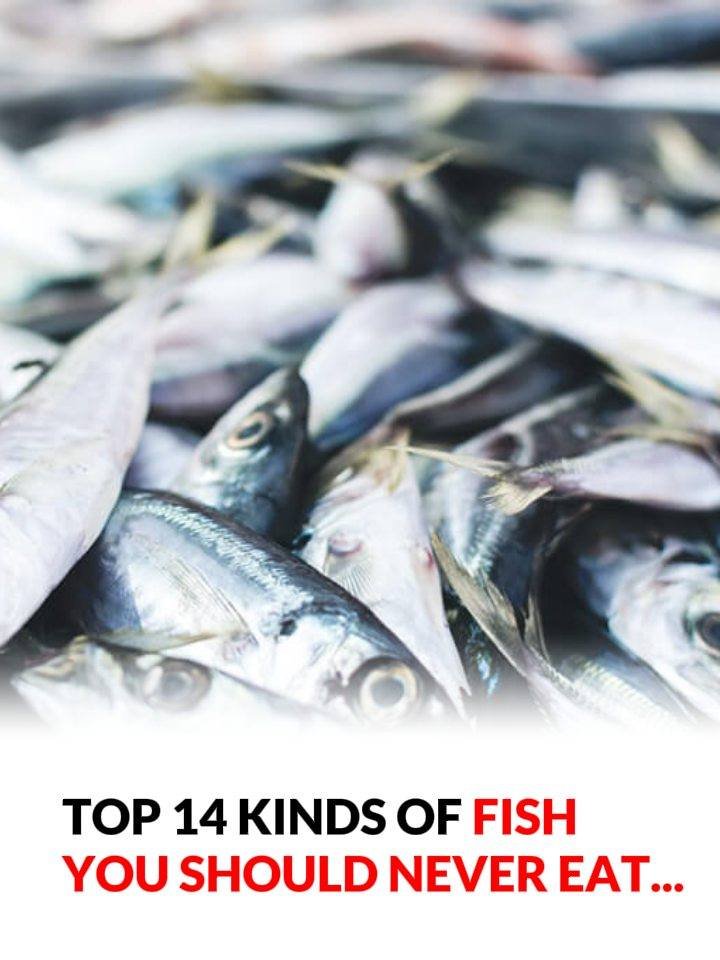 WARNING — STOP EATING THIS FISH IMMEDIATELY: A COMPLETE HEALTH ALERT & SCIENCE REVIEW (WHAT YOU MUST KNOW