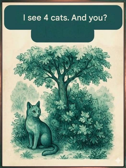 I see four cats, and you?