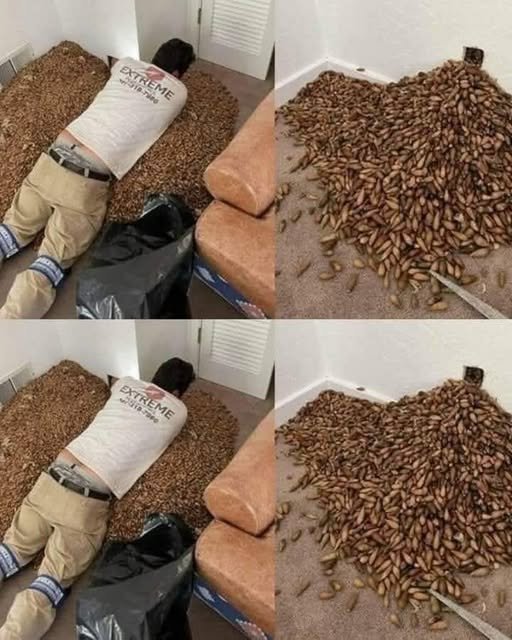 How a Strange Smell Turned One Man’s Home Into an Unexpected Mystery
