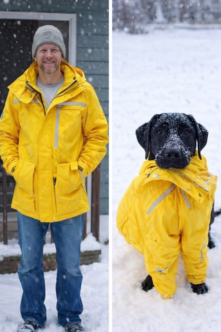 My dog And The jacket of my husband
