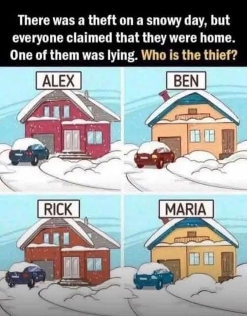 One of them was lying. Who is the thief?