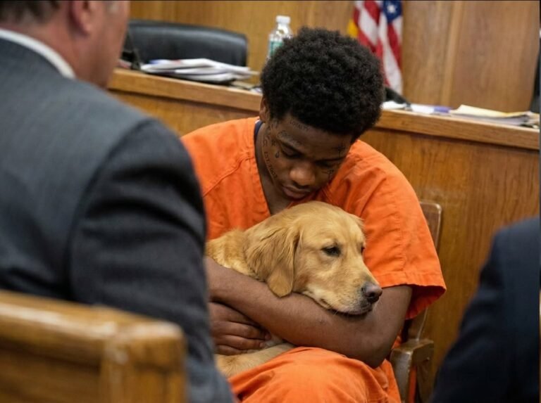 He Risked Prison to Save a Dog, But What the Dog Did in Court Left the Judge Speechless