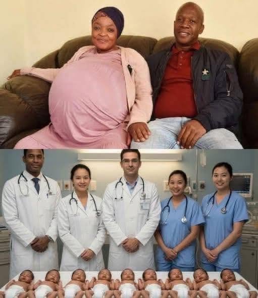 A Mother Gives Birth to 10 Babies… But One Wasn’t Human  What Really Happened?