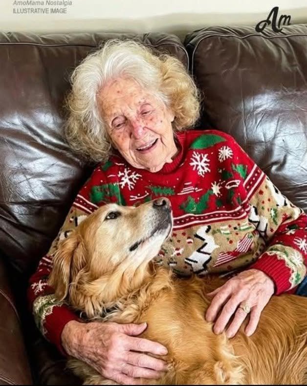 While My Family Fought Over Grandma’s Will, I Was the Only One Who Took Her Beloved Dog and Discovered the Secret She Left Behind — Story of the Day