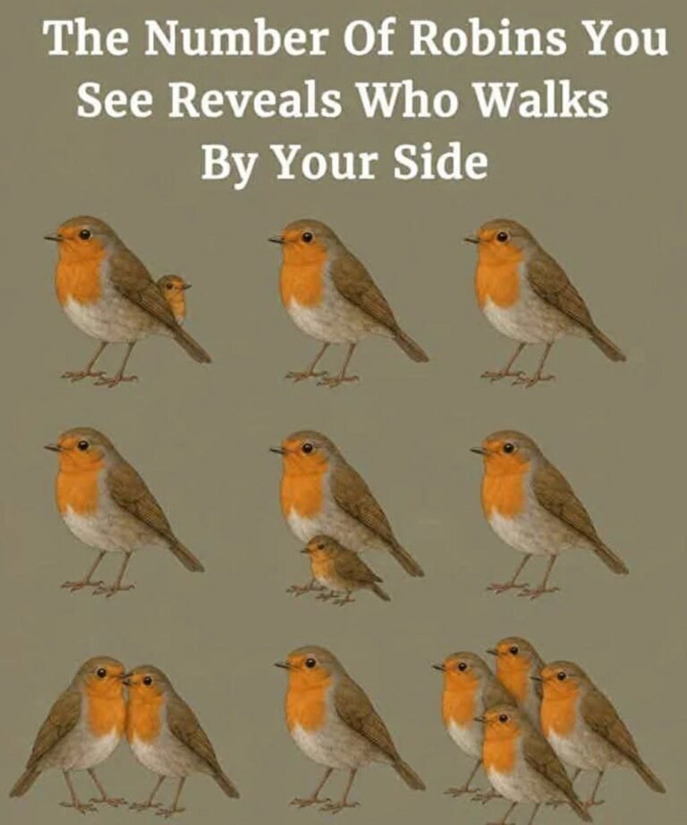 The Number Of Robins You See Reveals Who Walks By Your Side