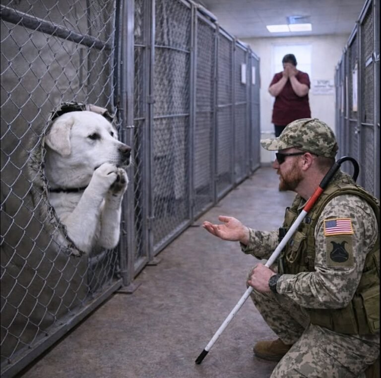 The shelter called him « impossible to reach. » But this blind veteran felt a connection that no one else could see…