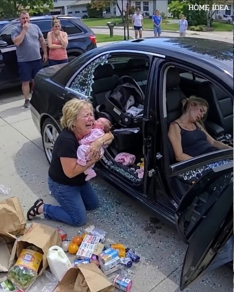 The Camera Revealed Who Locked My Daughter in the Car