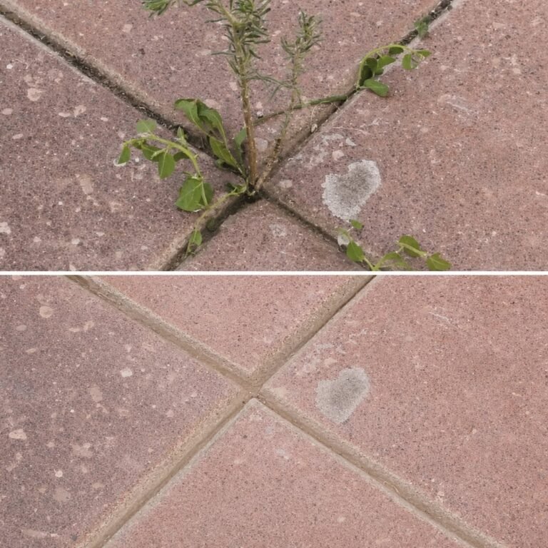 Homemade Natural Weed Killer That’s Safe for Pets and Kids