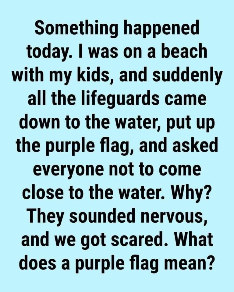 What Does the Purple Beach Flag Mean? The Hidden Ocean Warning Most Swimmers Ignore
