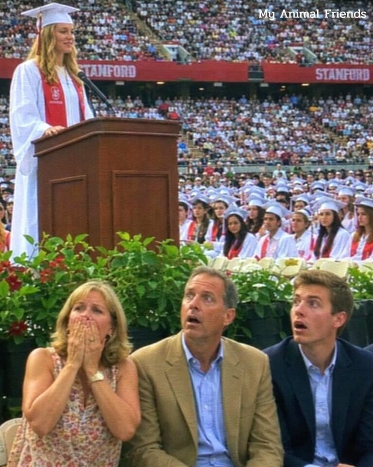 My own mother said my PhD graduation wasn’t worth the flight, – usnews