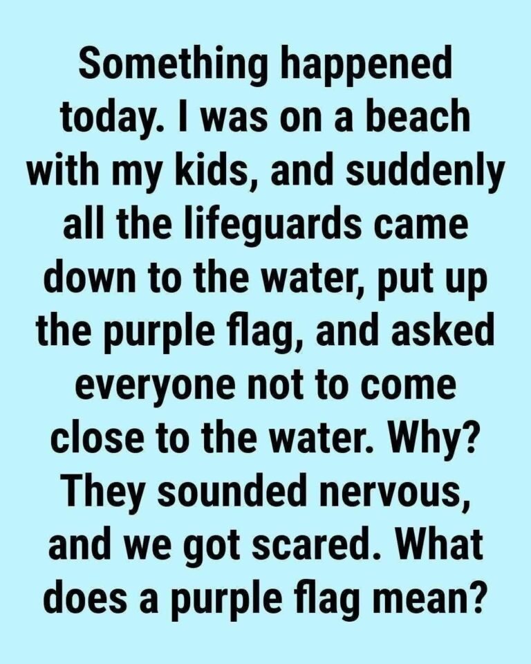 What Does the Purple Beach Flag Mean? The Hidden Ocean Warning Most Swimmers Ignore