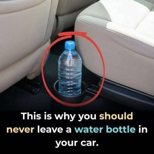Why You Should Never Leave a Water Bottle in Your Car: A Complete Guide