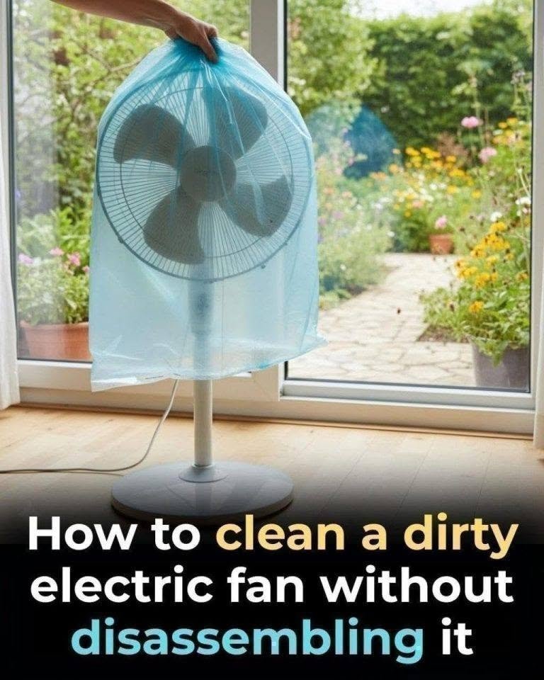 How to Clean a Fan Without Taking It Apartv….See more