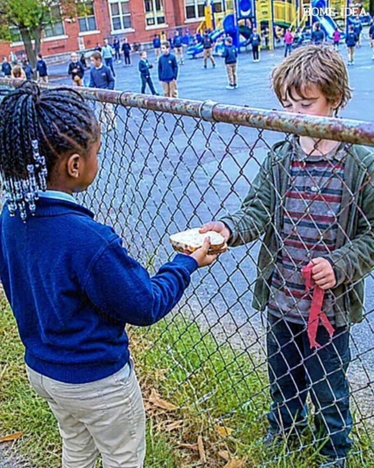 He came back with millions of dollars for the girl who fed him over the fence.. sbl part 1