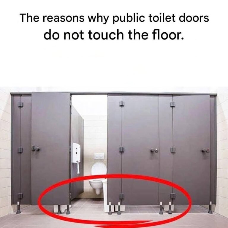 Why don’t the toilet doors touch the floor?