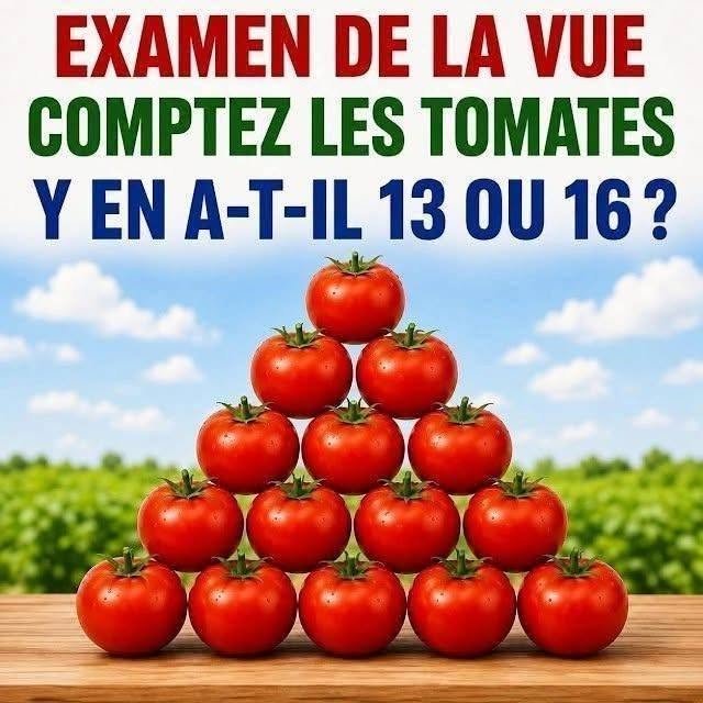 TEST VISUEL : COMBIEN DE TOMATES VOYEZ-VOUS ?