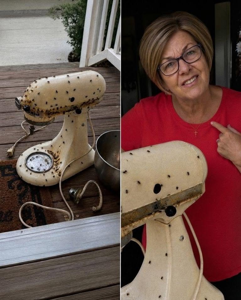 My Neighbor Constantly Borrowed My Appliances – When She Returned My Mixer Dirty and Broken, I Taught Her a Lesson