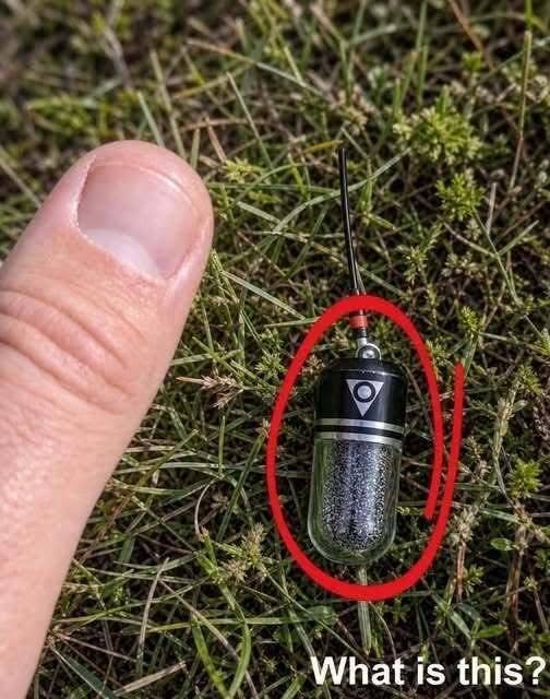 I Was Walking in the Park With My Dog When He Suddenly Stopped—Then I Saw Something Strange Hidden in the Grass
