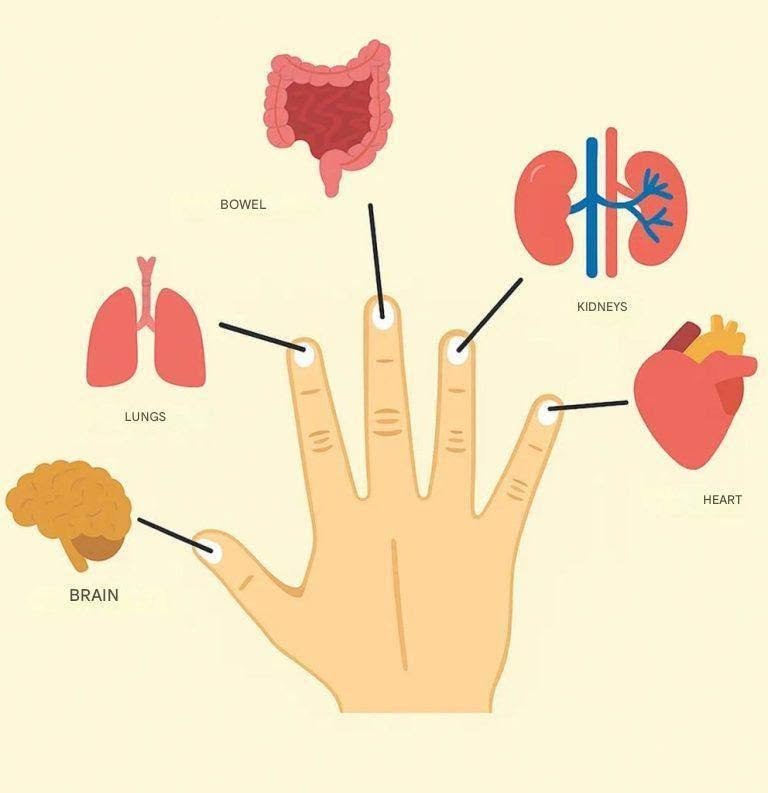 Each Finger Is Connected to Two Organs: An Incredible Japanese Therapeutic Method