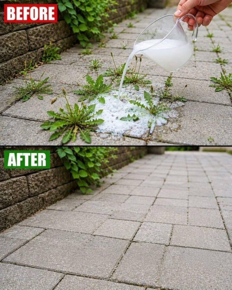 Homemade Weed Killer: Does It Really Work?