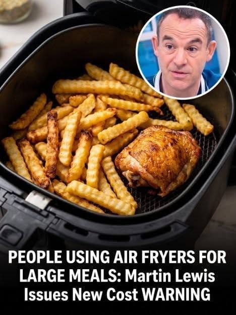 Experts Caution Against Using Air Fryers Instead of Ovens