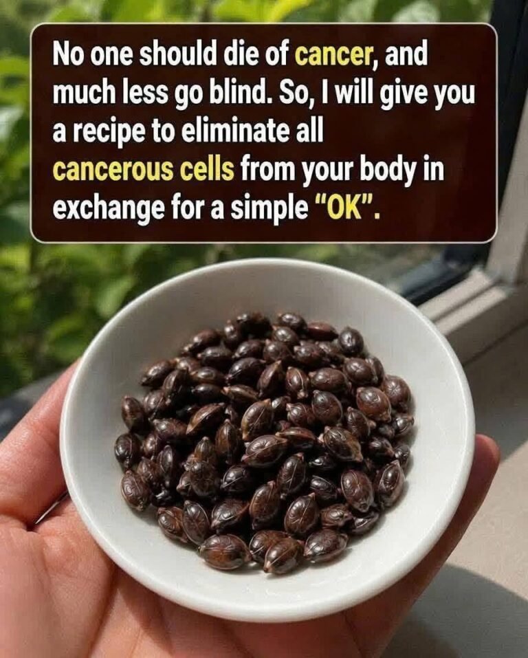 A Natural Recipe for Everyday Wellness: What You Should Know About Cancer, Vision, and Traditional Foods